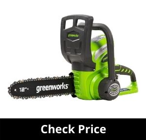 Greenworks cordless chainsaw G40CS30 